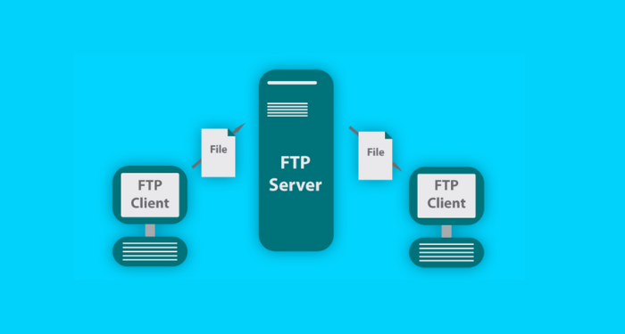 FTP và FTP server là gì? Top 5 phần mềm kết nối FTP account tốt nhất 2024 3 ftp-server-la-gi