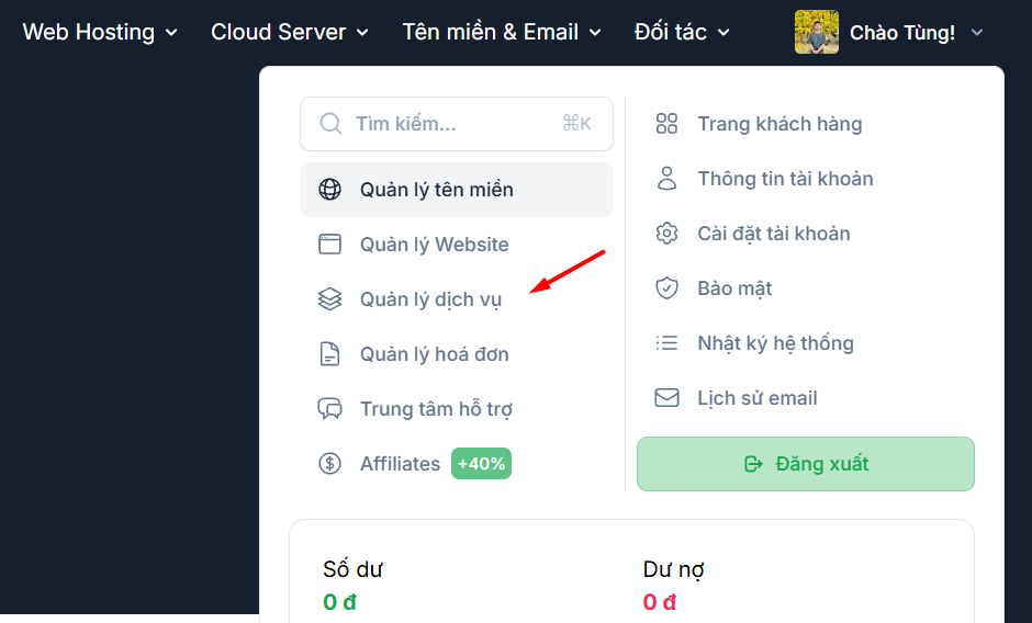 Trỏ tên miền về hosting ns1, ns2