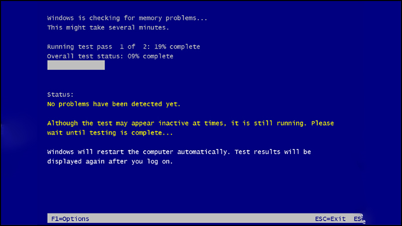 su-dung-phan-mem-test-ram-server