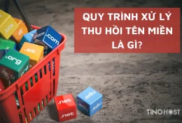 Quy trình xử lý thu hồi tên miền là gì? Cách lấy lại tên miền đã bị thu hồi