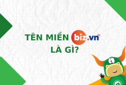 Tên miền .BIZ.VN là gì? Cách đăng ký tên miền .BIZ.VN chi tiết A-Z