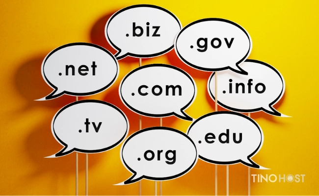 ccTLD là gì? Tổng hợp kiến thức cần biết về ccTLD 2 so-luong-cctld-ngay-cang-tang