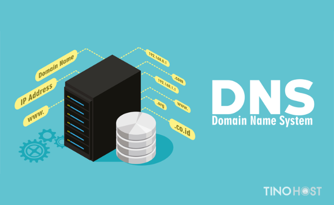 DNS: SOA là gì? Tìm hiểu về cấu trúc DNS: SOA 1 DNS-la-gi