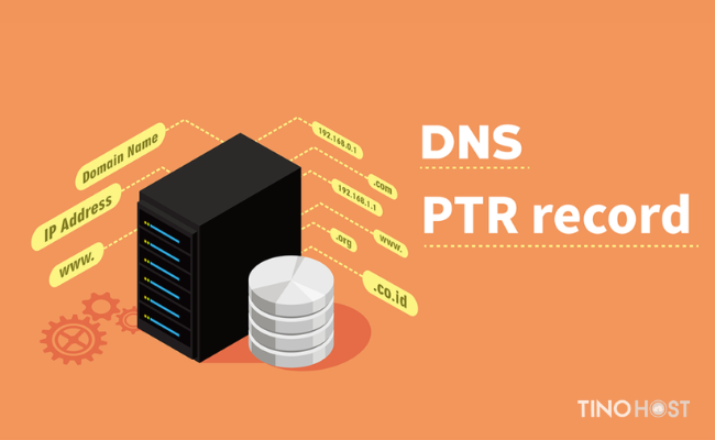 PTR Record là gì? Quy trình kiểm tra PTR Record 1 PTR-Record-la-gi