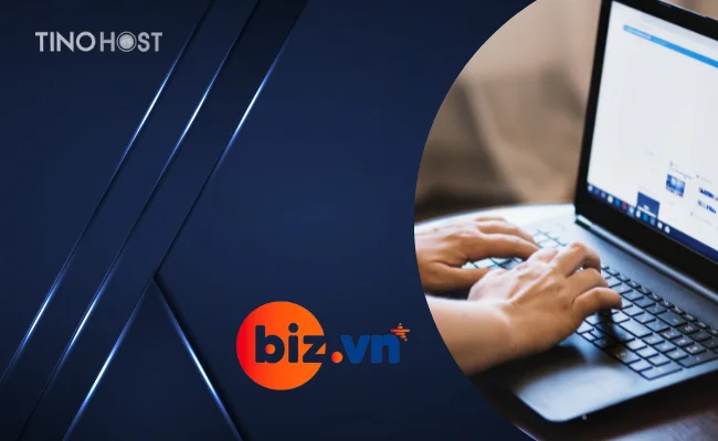 Tên miền .BIZ.VN là gì? Cách đăng ký tên miền .BIZ.VN chi tiết A-Z 1 ten-mien-biz-danh-cho-cac-to-chuc-thuong-mai