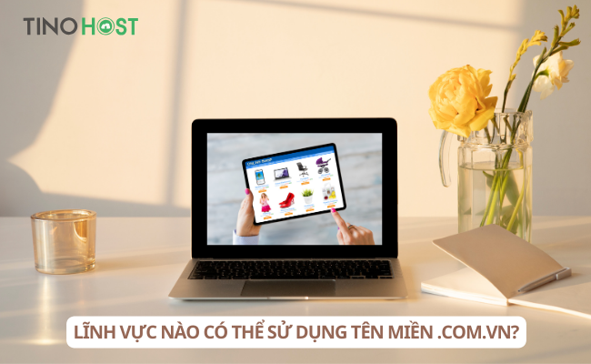 Tên miền .COM.VN dành cho lĩnh vực nào? Vai trò của tên miền .COM.VN đối với người dùng 2 linh-vuc-nao-co-the-su-dung-ten-mien-com-vn?