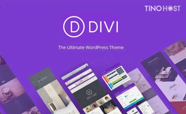 Page Builder là gì? Top 6 Page Builder cho WordPress phổ biến nhất 2024 9 Divi-Page-Builder