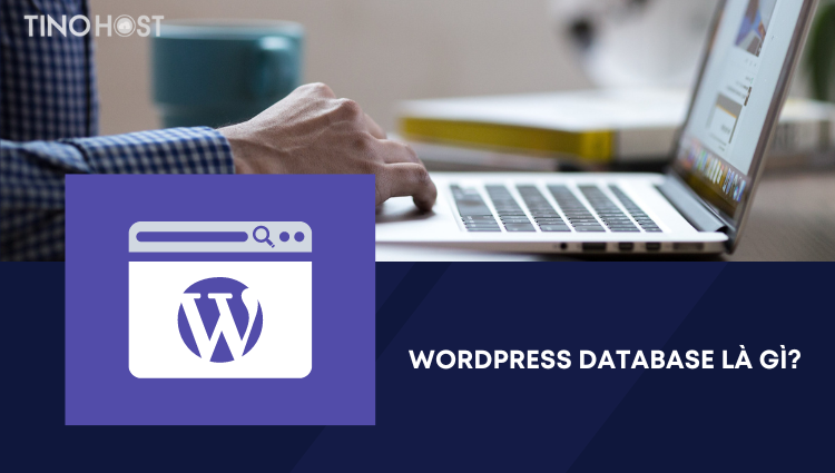 WordPress Database là gì? Tìm hiểu cấu trúc và cách thao tác với cơ sở dữ liệu WordPress 1 wordpress-database-la-gi