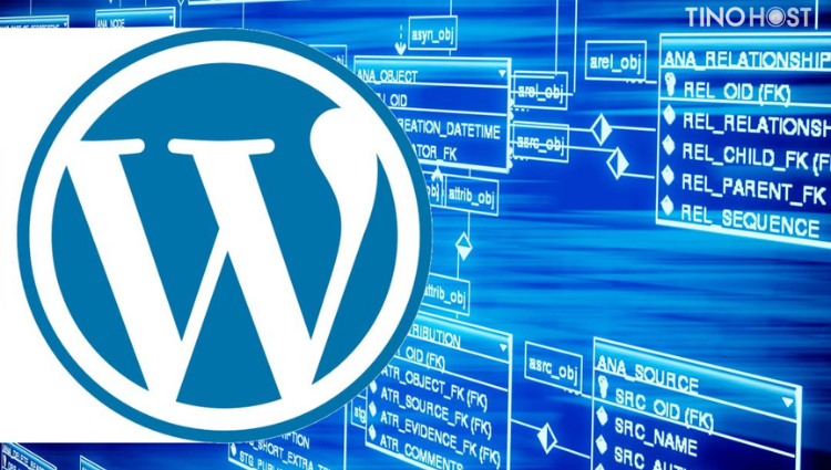 WordPress Database là gì? Tìm hiểu cấu trúc và cách thao tác với cơ sở dữ liệu WordPress 4 cac-table-co-ban-cua-wordpress-database