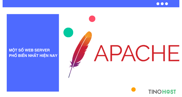 Hướng dẫn cách kiểm tra server của website 2025 2 so-lieu-the-hien-su-thong-tri-cua-apache