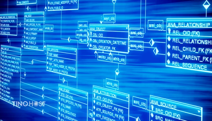 Database là gì? Vai trò và tầm quan trọng của database 2 database-duoc-phan-loai-theo-muc-dich-su-dung