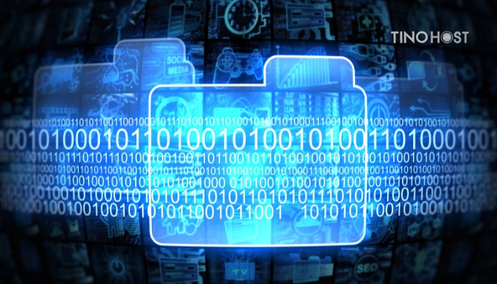 Database là gì? Vai trò và tầm quan trọng của database 6 co-nhieu-he-quan-tri-database-pho-bien