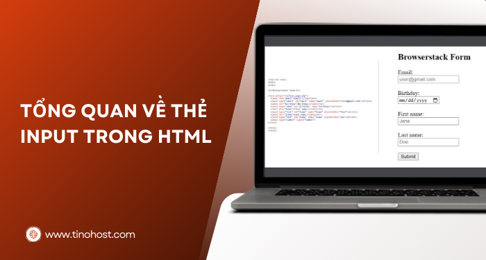 Thẻ Input trong HTML là gì? Tìm hiểu chức năng, cấu trúc và ví dụ thực tế 1 the-input-trong-html-la-gi