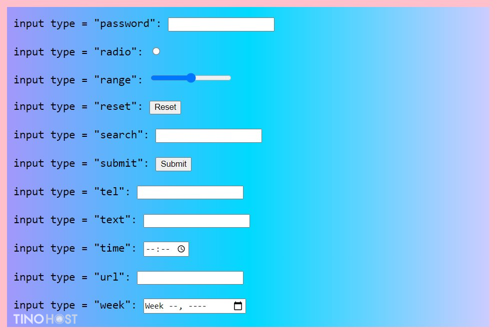 Thẻ Input trong HTML là gì? Tìm hiểu chức năng, cấu trúc và ví dụ thực tế 2 cac-thuoc-tinh-cua-the-input-trong-html