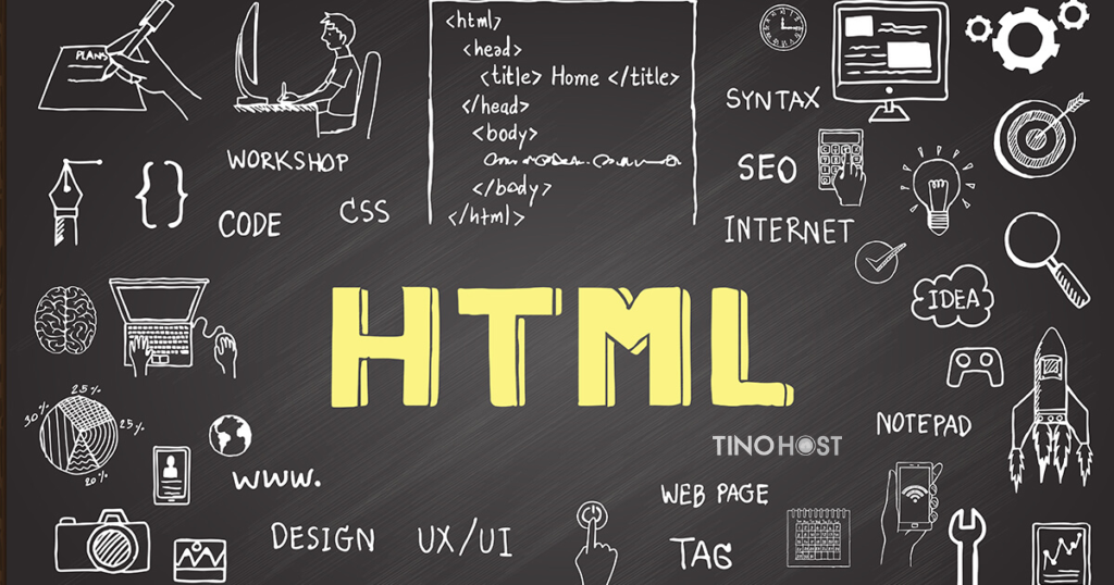 Thẻ Input trong HTML là gì? Tìm hiểu chức năng, cấu trúc và ví dụ thực tế 6 cach-su-dung-the-input-trong-html
