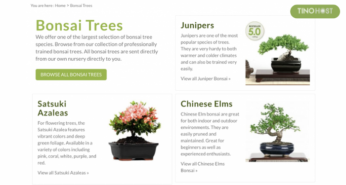 Category là gì? Tạo Category hiệu quả cho website chỉ với vài bước đơn giản 8 toi-uu-the-meta-va-tieu-de-cho-category
