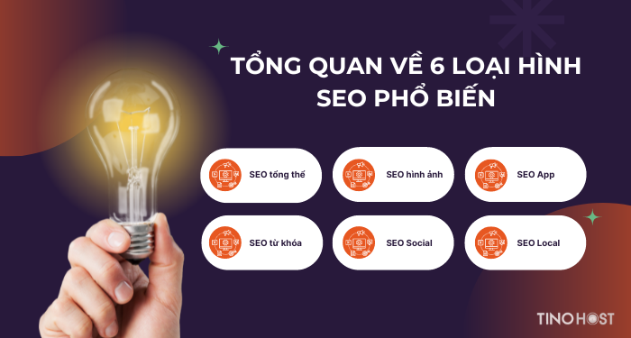 Hướng dẫn tự học SEO căn bản - Mở khóa bí mật lên top Google cho doanh nghiệp 3 6-loai-hinh-seo-pho-bien