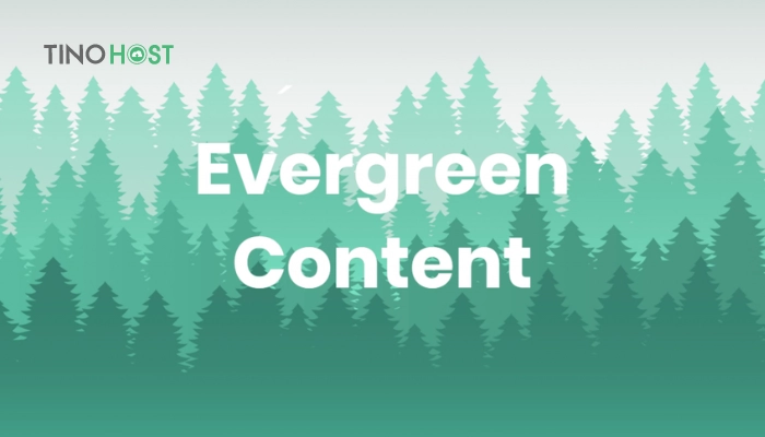 Bí kíp cho nội dung “bất tử”: Giải mã Evergreen Content là gì 1 evergreen-content-luon-mang-lai-gia-tri-cho-doc-gia