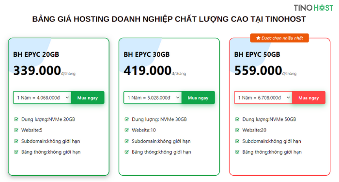Business Hosting EPYC là gì? Hosting cấu hình cao cho doanh nghiệp lớn? 5 muc-gia-cac-goi-business-hosting-epyc