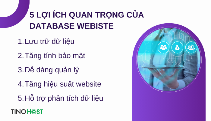 Bật mí cách lấy database của website trên hosting cPanel trong chớp mắt 1 loi-ich-quan-trong-cua-database-website