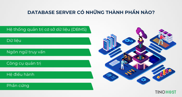 Database server là gì? Có những lợi ích gì cho doanh nghiệp? 3 database-server-co-nhung-thanh-phan-nao