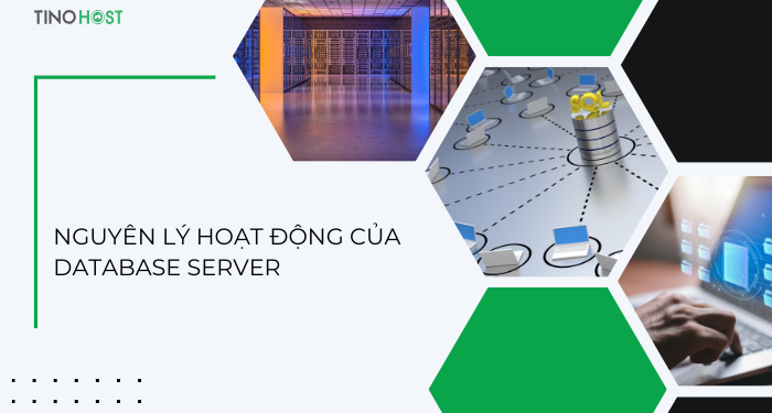 Database server là gì? Có những lợi ích gì cho doanh nghiệp? 4 nguyen-ly-hoat-dong-cua-database-server
