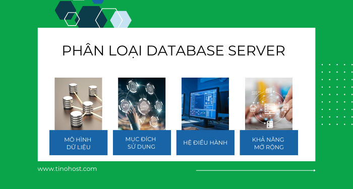 Database server là gì? Có những lợi ích gì cho doanh nghiệp? 5 phan-loai-database-server