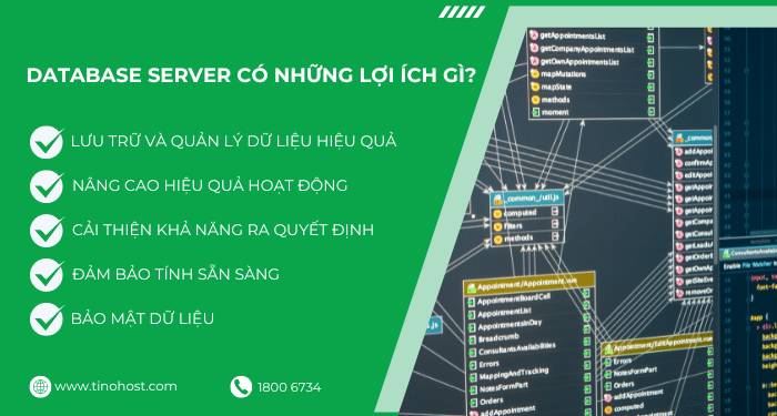 Database server là gì? Có những lợi ích gì cho doanh nghiệp? 6 database-server-co-nhung-loi-ich-gi