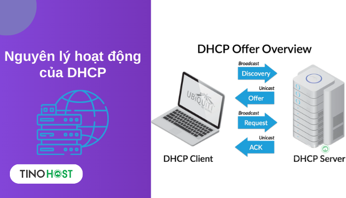 DHCP Server là gì? Cấu hình DHCP Server trên Windows Server 2016 2 nguyen-ly-hoat-dong-cua-dgcp
