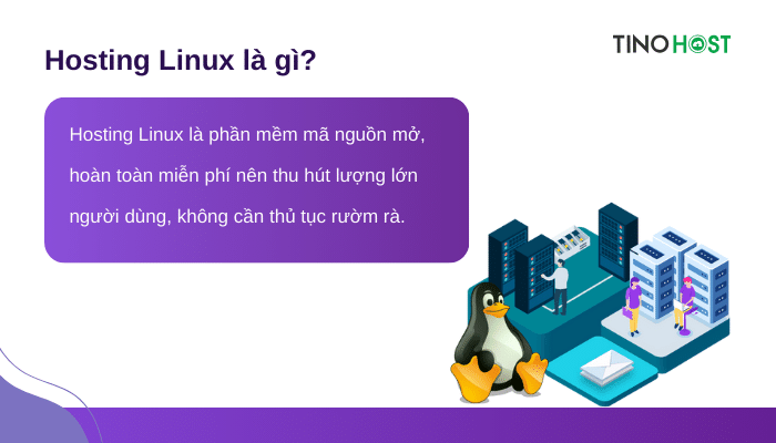 Hosting chạy hệ điều hành Linux hay Windows thì tốt hơn cho doanh nghiệp? 3 dinh-nghia-hosting-linux