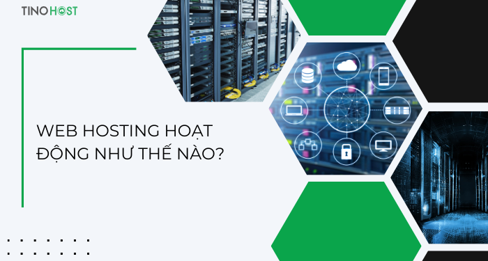 Hosting là gì? Hướng dẫn chọn hosting phù hợp cho website của bạn 2 web-hosting-hoat-dong-nhu-the-nao