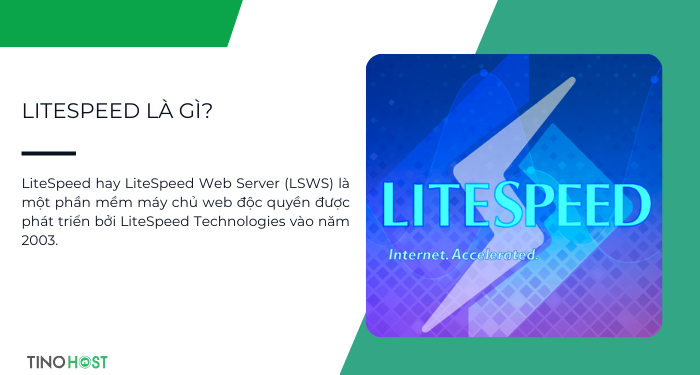 LiteSpeed là gì? Tại sao LiteSpeed là lựa chọn hàng đầu cho website của bạn? 1 litespeed-la-dich-vu-web-server