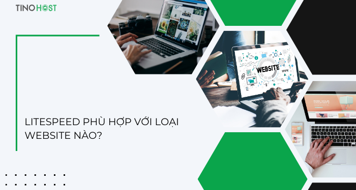 LiteSpeed là gì? Tại sao LiteSpeed là lựa chọn hàng đầu cho website của bạn? 4 litespeed-phu-hop-voi-loai-website-nao