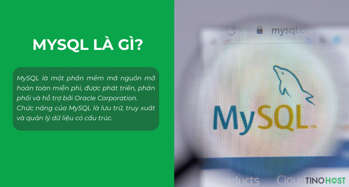 MySQL là gì? Có phải là lựa chọn hoàn hảo cho website và ứng dụng di động? 1 mysql-la-phan-mem-ma-nguon-mo