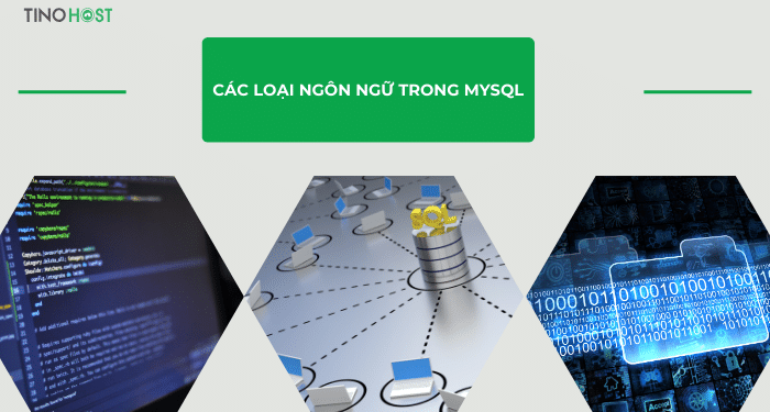 MySQL là gì? Có phải là lựa chọn hoàn hảo cho website và ứng dụng di động? 6 cac-loai-ngon-ngu-trong-mysql