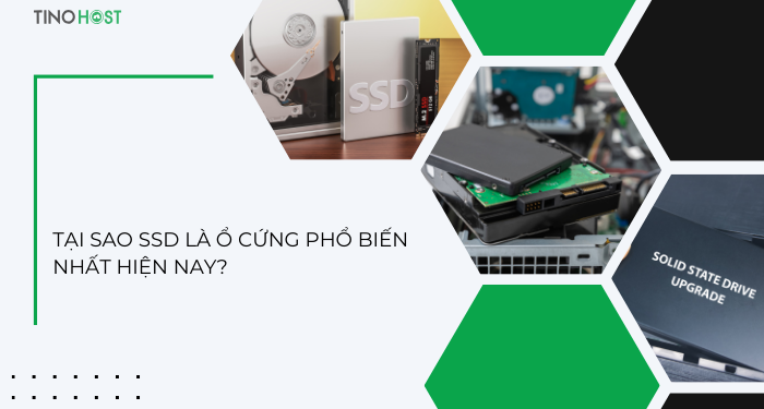 SSD Hosting là gì? Tìm hiểu chi viết về SSD Hosting 2 ssd-la-lua-chon-dang-tin-cay-de-luu-tru-du-lieu