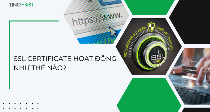 SSL Certificate là gì? Tại sao website cần chứng chỉ SSL? 2 ssl-certificate-hoat-dong-nhu-the-nao?