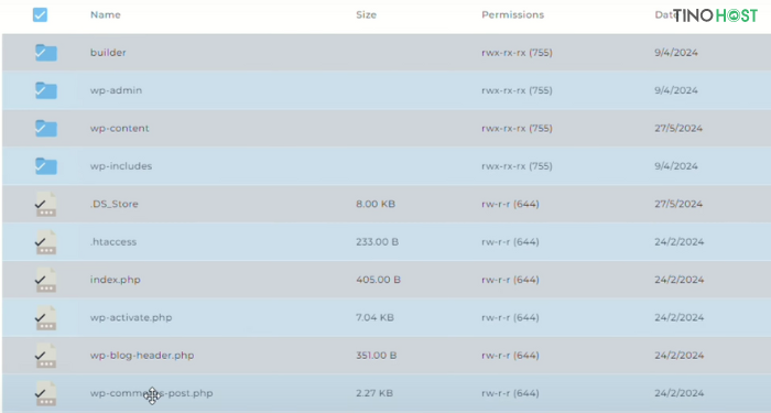 Hướng dẫn upload code WordPress lên hosting DirectAdmin cho người mới bắt đầu 11 upload-code-wordpress-len-hosting