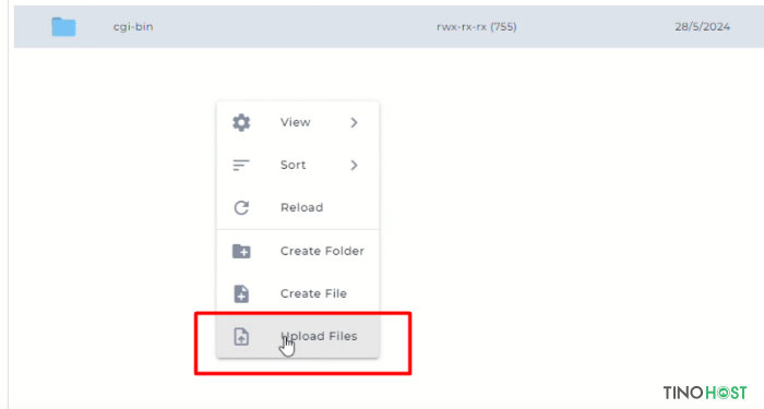 Hướng dẫn upload code WordPress lên hosting DirectAdmin cho người mới bắt đầu 6 upload-code-wordpress-len-hosting