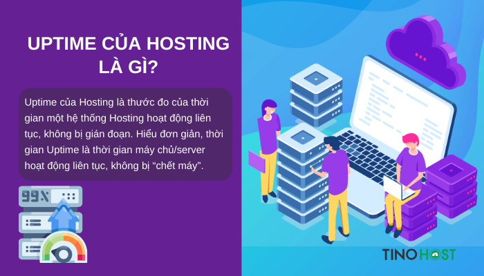 Uptime của hosting là gì? Bí quyết sở hữu website "bất tử" 1 uptime-cua-hosting-la-gi