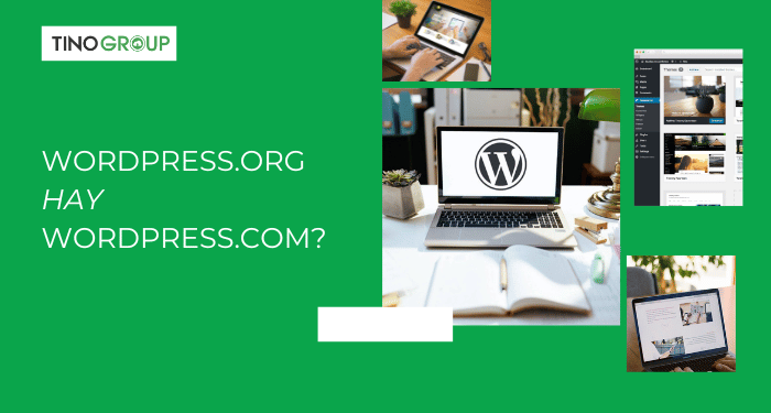 Nên chọn WordPress.org hay WordPress.com?