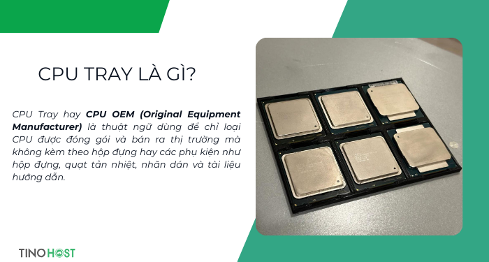 CPU Tray là gì? CPU Tray và CPU Box khác nhau như thế nào? Có nên mua không? 1 cpu-tray-la-gi