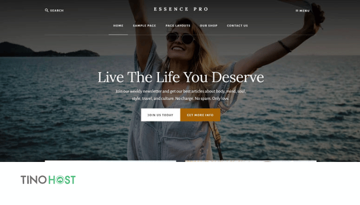Tổng hợp top 10+ theme WordPress tối ưu SEO tốt nhất 2024 2 theme-wordpress-toi-uu-seo-tot-nhat