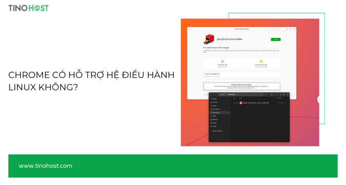 Hướng dẫn cách cài đặt Chrome cho Linux OS chi tiết 2024 1 chrome-co-ho-tro-he-dieu-hanh-linux-khong