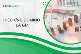 Hiệu ứng Domino là gì? Giải mã hiện tượng thay đổi dây chuyền bất ngờ