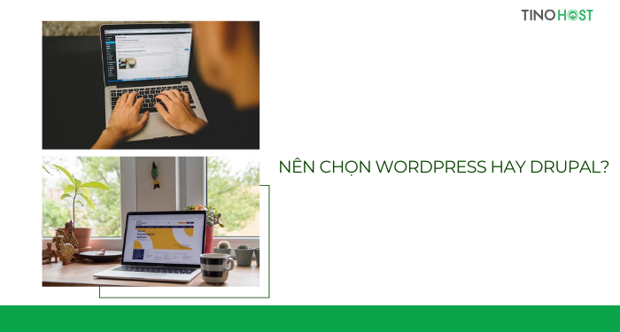 So sánh Drupal và WordPress - Nên chọn CMS nào cho dự án của bạn? 6 nen-chon-wordpress-hay-drupal