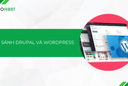 So sánh Drupal và WordPress – Nên chọn CMS nào cho dự án của bạn?