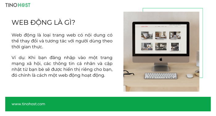 Web động là gì? Web tĩnh là gì? Sự khác biệt giữa web động và web tĩnh 1 web-dong-la-gi