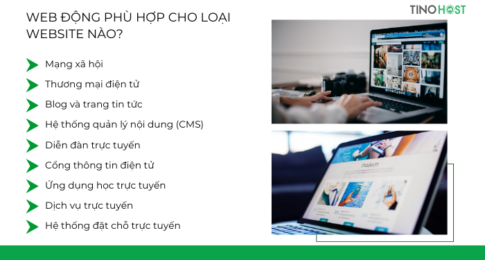 Web động là gì? Web tĩnh là gì? Sự khác biệt giữa web động và web tĩnh 4 web-dong-phu-hop-cho-loai-website-nao