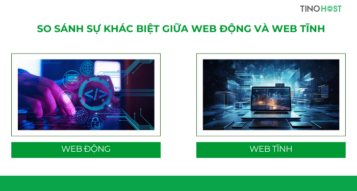Web động là gì? Web tĩnh là gì? Sự khác biệt giữa web động và web tĩnh 8 so-sanh-su-khac-biet-giua-web-dong-va-web-tinh